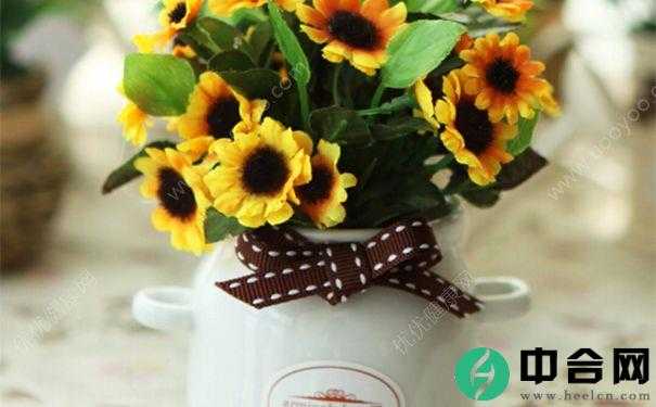 家里养花有什么讲究？卧室养花有什么讲究？