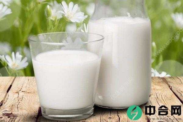 牛奶不能和哪些食物一起吃？牛奶的风味搭配吃法？(3)