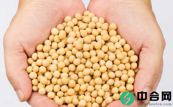 吃什么中药可以治疗高血脂？哪些食物能够预防高血脂？(1)