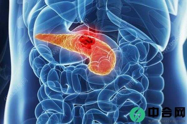 女孩怀孕5月查出癌症，她的选择让无数人泪奔(2)